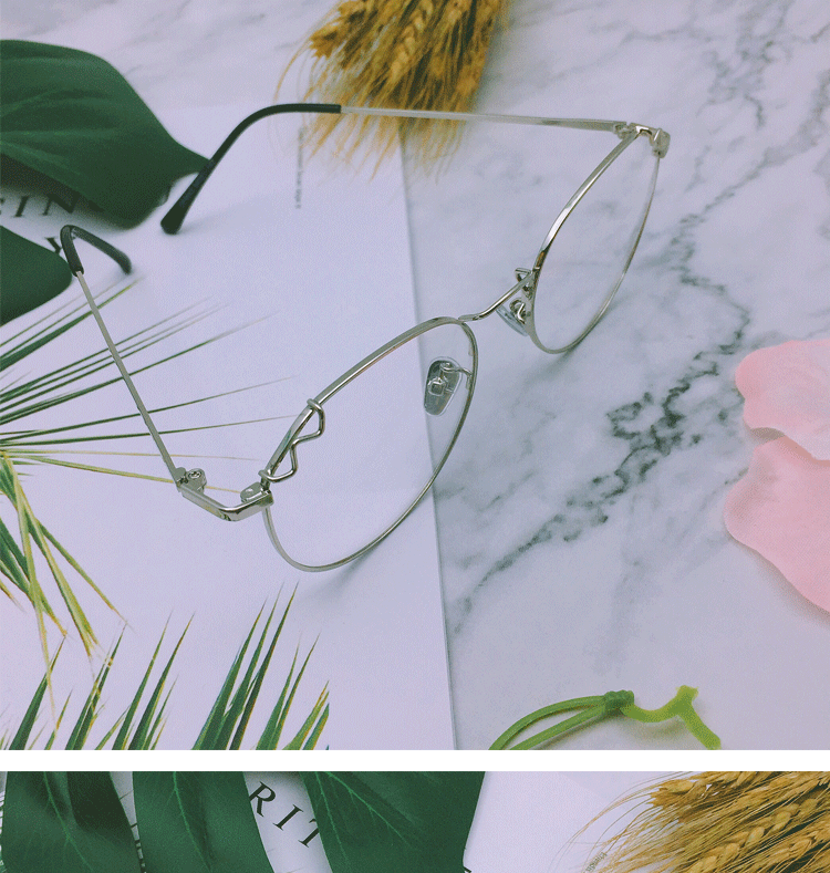 Montures de lunettes en Alliage de nickel - Ref 3139856 Image 21