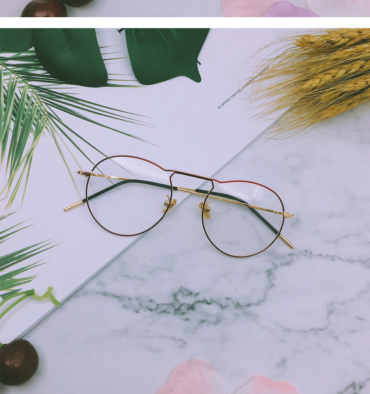 Montures de lunettes en Alliage de nickel - Ref 3140129 Image 10