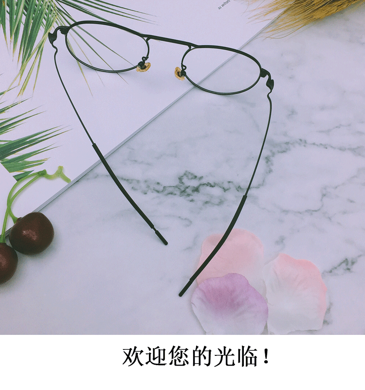 Montures de lunettes en Alliage de nickel - Ref 3140129 Image 15