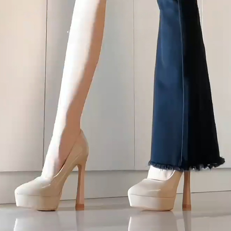 Hong Kong Non-Tiring Platform High Heels for Women 2026 Spring and Autumn New Style Elegant Sexy Etiquette Professional Chunky Heel Shoes