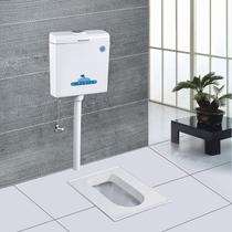 Sakurai 6001 Wall Wall type large force bathroom toilet squat pit plastic double Press water saving box