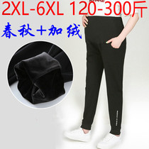 Large size maternity pants pure cotton outside wearing Foreign color thin casual pants 200-300kg big man extended sports pants winter