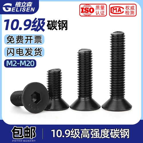 10,9 класс высокой протяженной полосы внутреннего шестиугольного винта Плоский винт Плоский болт чашки M2M3M4M5M8M10M12