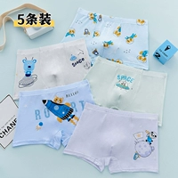 (5 установок) 5018 Пространство