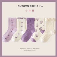 ML24-8109 Purple Rose Dream [весна и осенние хлопковые носки] 5 пар