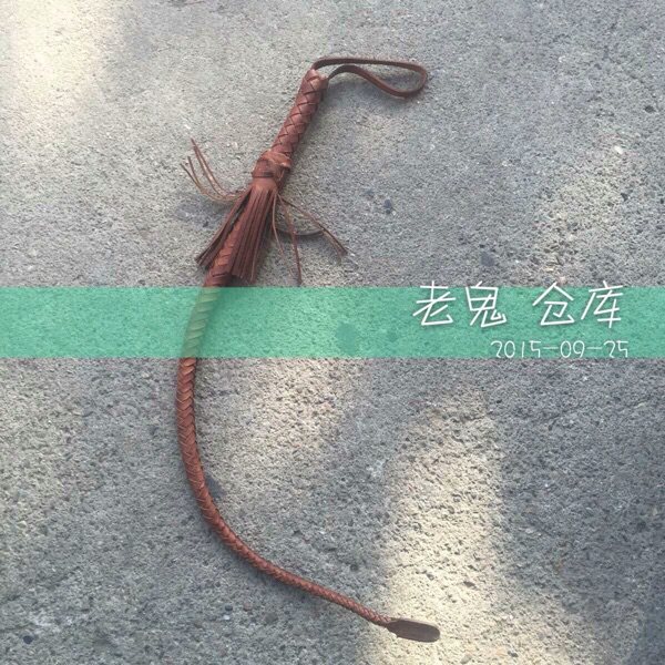 Article sports equestres - Ref 1378535 Image 5