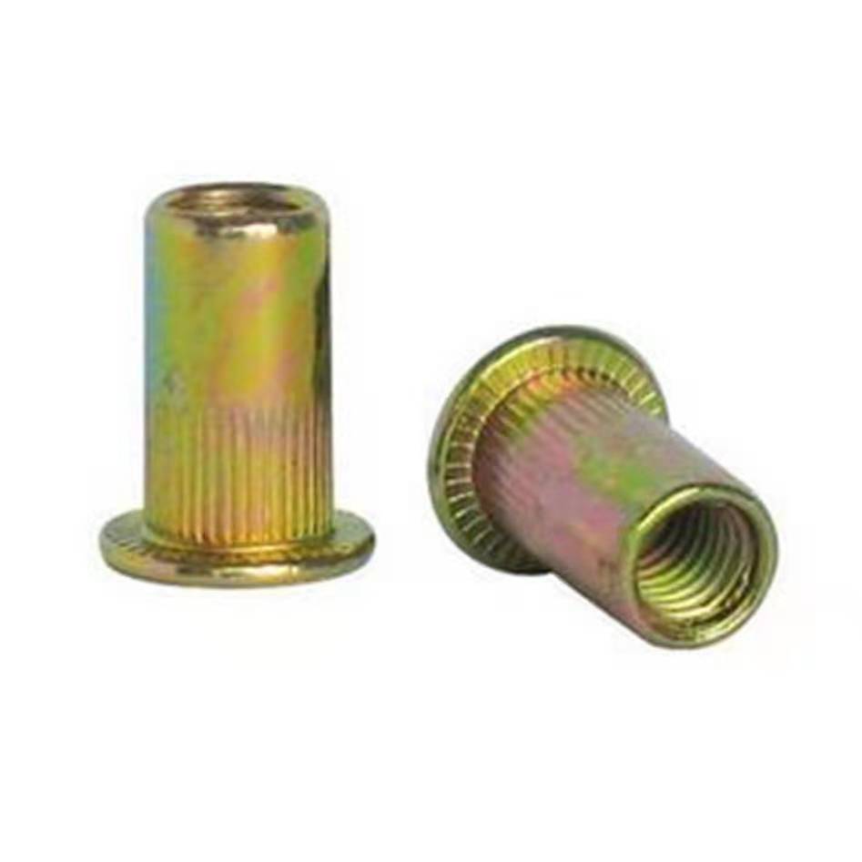 Flat head rivet nut