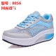 8856 Hollow Blue Blue