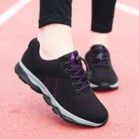 M88 Secret Net Black Purple