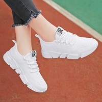 718 белый (плотная сеть)