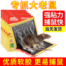 Rat Mucus Powerful Sticky Rat Board Catching Big Mouse Stick to Stick With Glue Grip Super Mouse Killer for home Mouse Trap