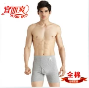 4 món đồ lót 宜 爽 男 Quần lửng CL814N quần lửng nam cao eo cotton boyshort