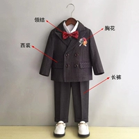 Комплект, костюм, штаны, галстук-бабочка на лацкан