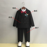 Пиджак классического кроя, штаны, галстук-бабочка на лацкан