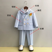 Пиджак классического кроя, рубашка, штаны, галстук-бабочка на лацкан