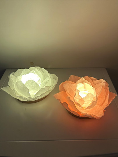 环保荷花灯纸荷花灯传统蜡烛花水灯节日公园景区活动许愿水灯河灯