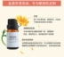 Zhenlian Calendula ngâm dầu gốc dầu 10ml Massage mặt Chăm sóc da giữ ẩm da gốc dầu chính hãng - Tinh dầu điều trị Tinh dầu điều trị