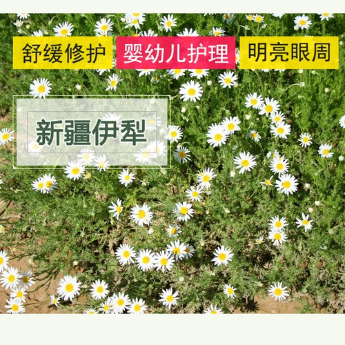 Ромашка, мягкий успокаивающий натуральный увлажняющий косметический гидролат для чувствительной кожи, 1000 мл, для салонов красоты