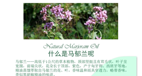 珍恋 Натуральное натуральное масло, аромотерапия, 1 мл