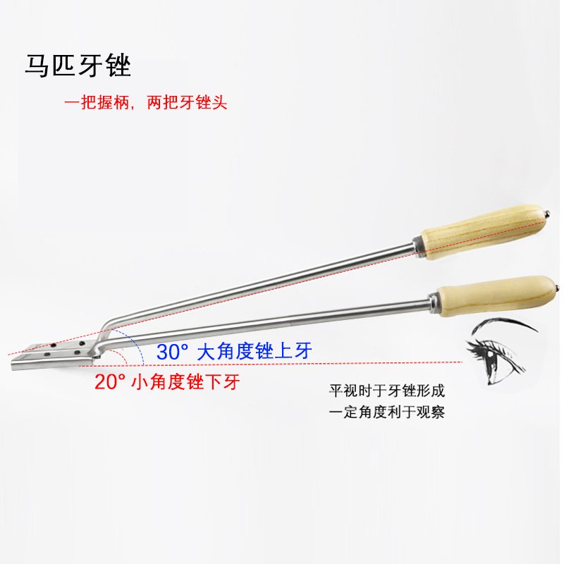 Horse Tooth Filing Horse Health Care Repair Tooth Tool Stainless Steel Material Wood Handle Replaceable Filing Head