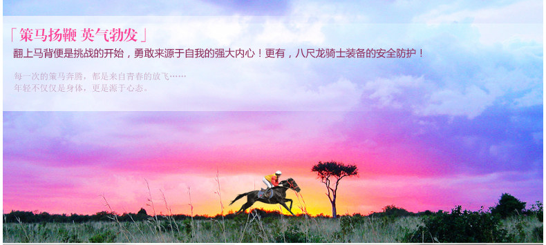 Article équitation BASLONG - Ref 1381180 Image 9