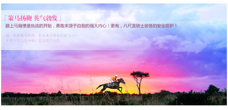 Article équitation BASLONG - Ref 1382170 Image 10