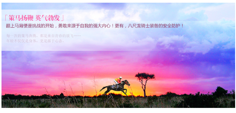 Article sports equestres BASLONG - Ref 1380645 Image 3