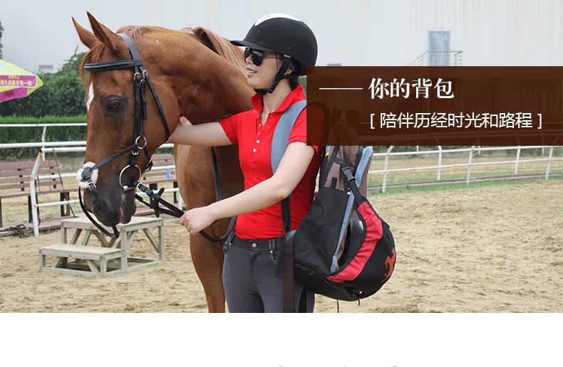 Article équitation BASLONG - Ref 1387413 Image 5