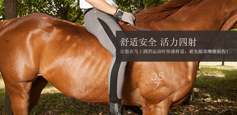 Article équitation BASLONG - Ref 1380440 Image 6