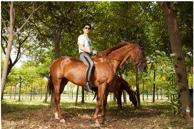 Article équitation BASLONG - Ref 1380440 Image 15