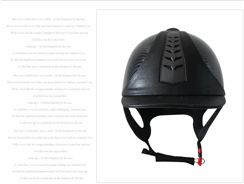 Article équitation BASLONG - Ref 1381774 Image 17