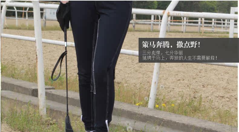 Article équitation BASLONG - Ref 1382170 Image 5