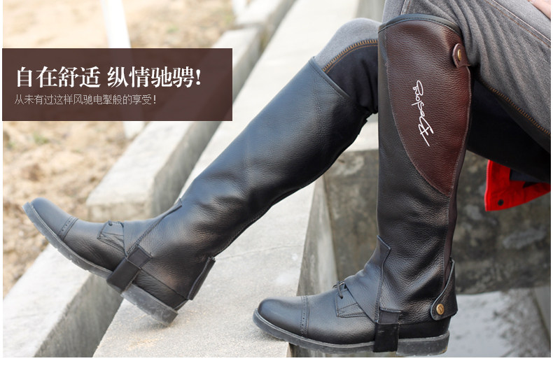 Article sports equestres BASLONG - Ref 1381252 Image 6