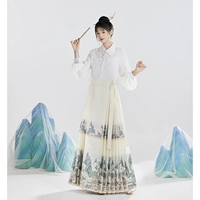 五五年 Hanfu Qianlijiangshan 10 пары плиссированных золотых имитационных юбки для макияжа на костюме национального стиля национального стиля