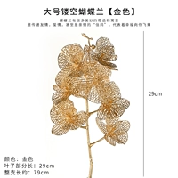 [7 голов большие полые phalaenopsis] 1