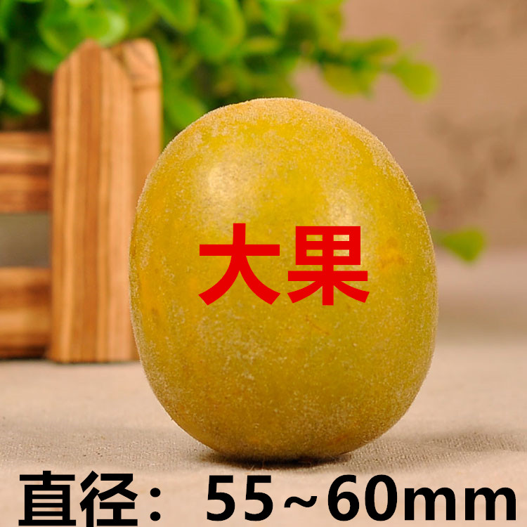 Guangxi Guilin Yongfu produces low-temperature dehydrated Luo Han Guo 10 large Luo Han Guo fruits