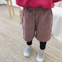 Quần nhung kẻ giả hai quần mùa thu đông mới bé Hàn Quốc cộng với quần nhung bé gái quần ống rộng 1-3 tuổi 4 quần bé trai size đại