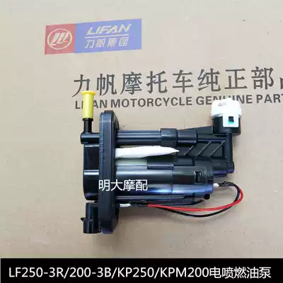 Lifan accessories LF250-3R KP250 200-3B KPM200 EFI vehicle fuel pump