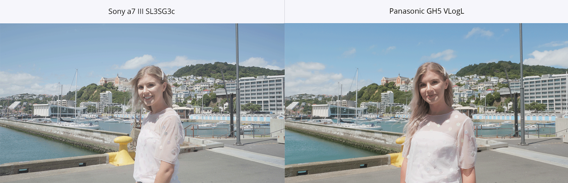 comparison.gif