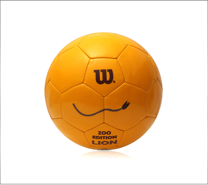 Ballon de football - Ref 7010 Image 27