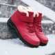 MX603 Jujube Red (плюс бархат) самка