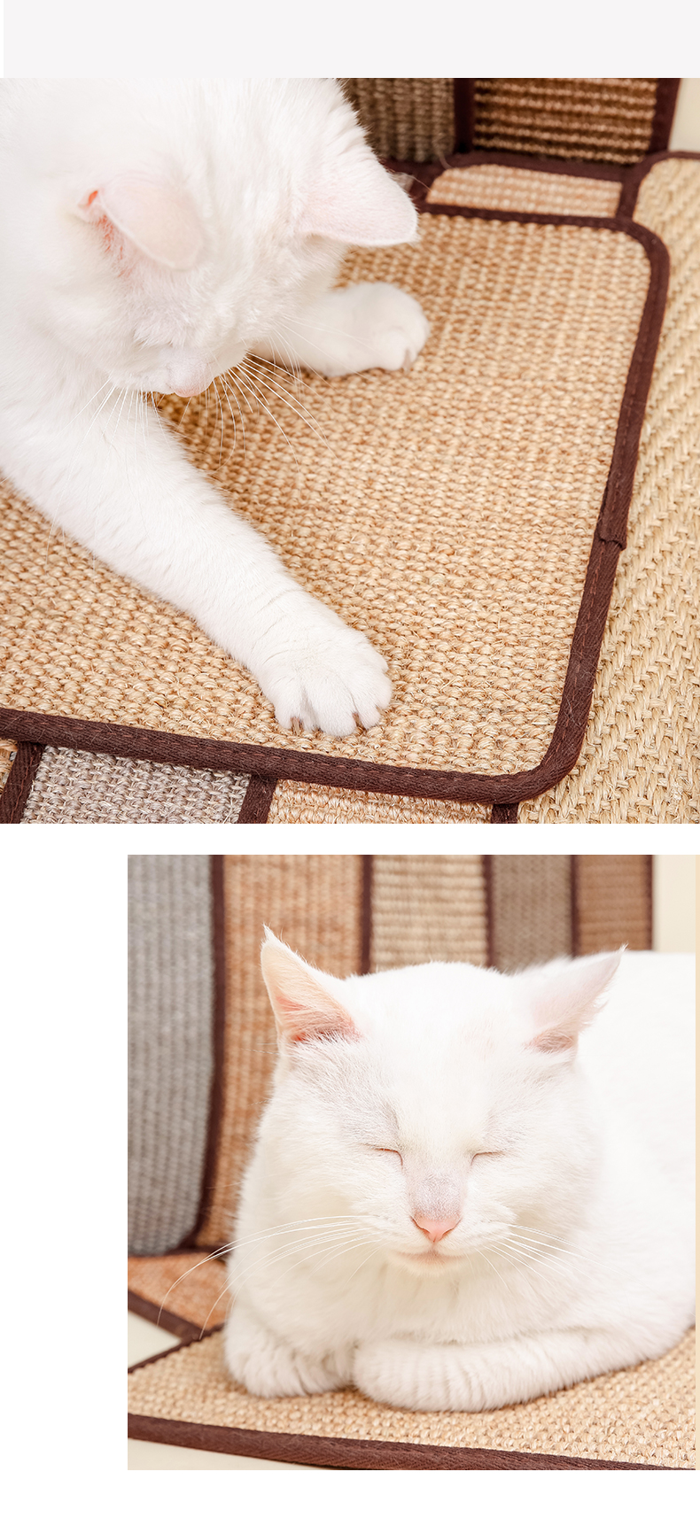 Pet mèo đồ chơi mèo cào bảng mèo cung cấp mèo vuốt salu mèo vuốt bảng mèo cung cấp mèo cào pad mèo thảm - Cat / Dog hàng ngày Neccessities 	dụng cụ và thức ăn cho chó