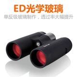 Ed     8 8 8/332x2 Каки волны   弑  