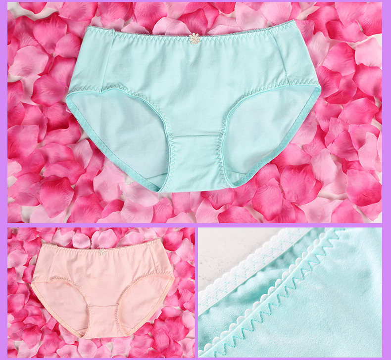 Slip jeunesse PLANDOO P216226TF-3 en coton - Ref 642647 Image 18