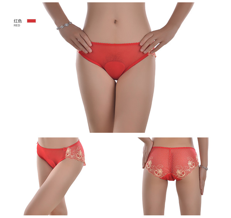 Slip jeunesse PLANDOO N21589 en autre - Ref 644476 Image 19