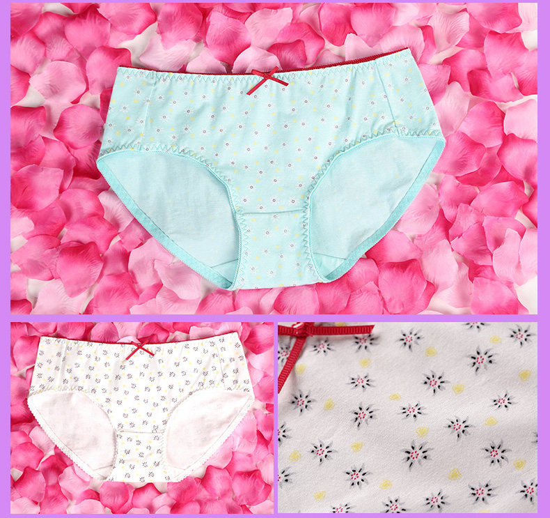 Slip jeunesse PLANDOO P216226TF-3 en coton - Ref 642647 Image 22