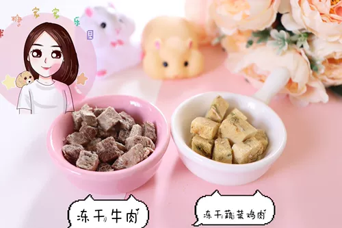 Заполнение бесплатной доставки замороженная говядина курица с лосось лососевой закуски с добавками питание 5G