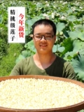 2023 Новый перевозчик Jianning Lotus Slot Dry Cargo 250G SURLFUR -FREE -Core White Lotus Lotus Corporation Building Lotus Lotus