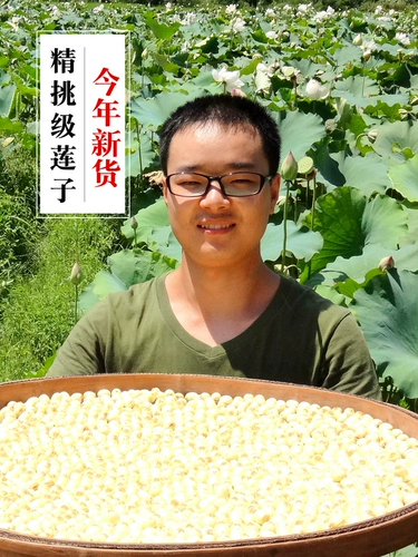 2023 Новый перевозчик Jianning Lotus Slot Dry Cargo 250G SURLFUR -FREE -Core White Lotus Lotus Corporation Building Lotus Lotus