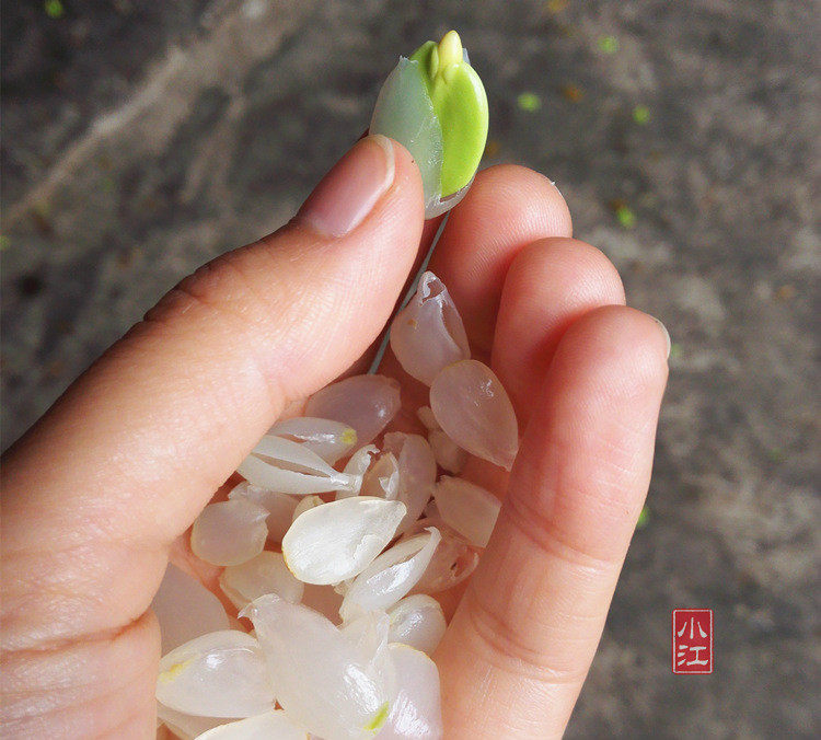 TB23JGOJPXXXXXBLXXXXXXXXX _ !!